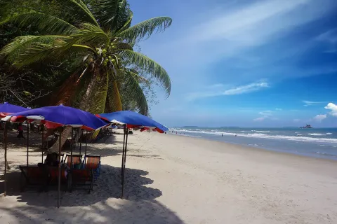 Земельный участок в Клаенге, Таиланд 8000м2  № 157208 - фото 3