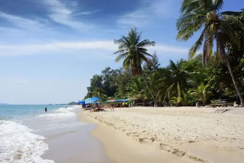 Земельный участок в Клаенге, Таиланд 8000м2  № 157208 - фото 4