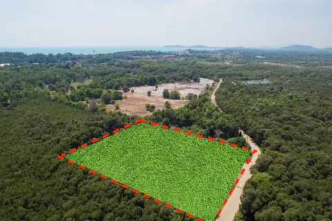 Земельный участок в Клаенге, Таиланд 8000м2  № 157208