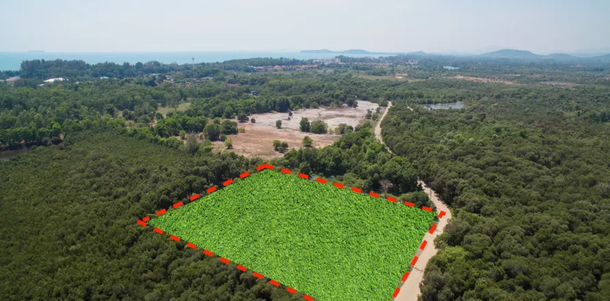 Земельный участок в Клаенге, Таиланд 8000м2  № 157208