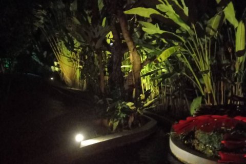 Maison à San Sai, Thaïlande 3 chambres № 156452 - photo 27