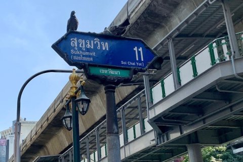 Hotel in Watthana, Bangkok, Thailand № 156450 - photo 11