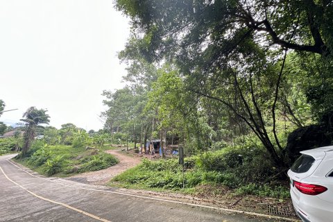 Земельный участок в Пхукете, Таиланд 17600м2 № 142545 - фото 6