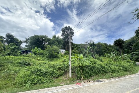 Земельный участок в Пхукете, Таиланд 17600м2 № 142545 - фото 5