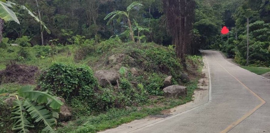 Земельный участок в Пхукете, Таиланд 17600м2 № 142545