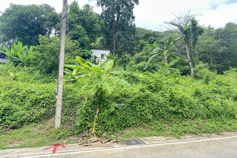 Земельный участок в Пхукете, Таиланд 17600м2 № 142545 - фото 3