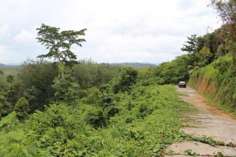 Terrain à Pa Klok, Thaïlande 5846 m2 № 142550 - photo 5