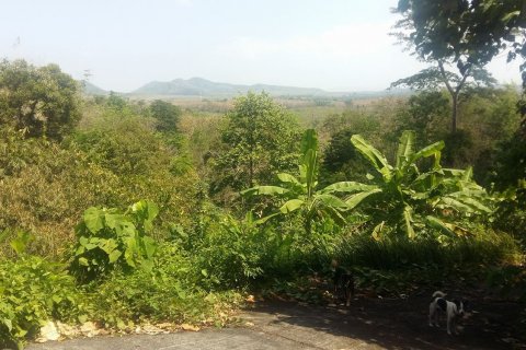 Terrain à Pa Klok, Thaïlande 5846 m2 № 142550 - photo 2