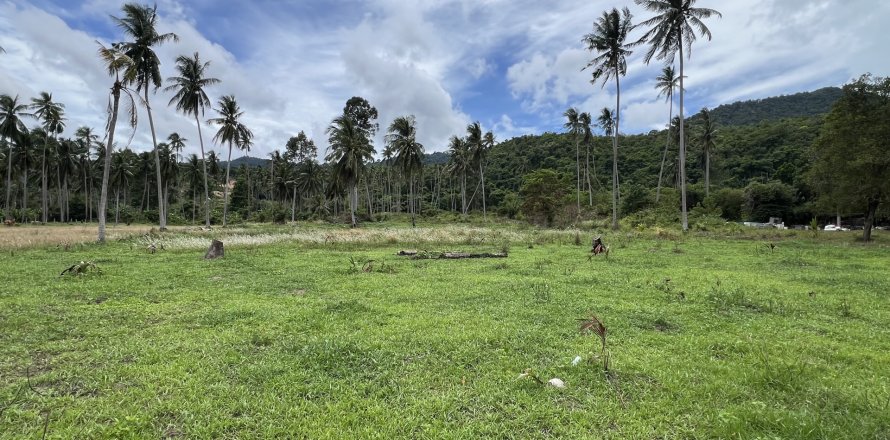 Land in Ko Samui, Thailand № 144313