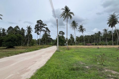Land in Ko Samui, Thailand № 144313 - photo 2