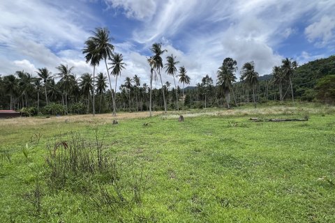 Land in Ko Samui, Thailand № 144313 - photo 3