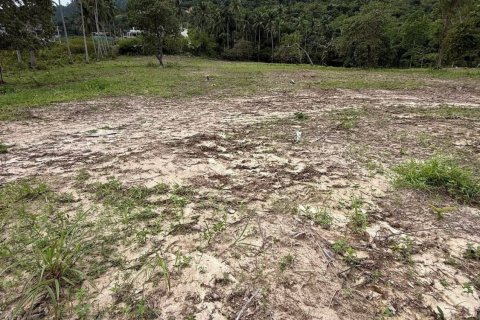 Земельный участок в Самуи, Таиланд 9600м2  № 164232 - фото 2