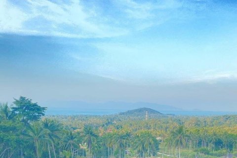 Земельный участок в Самуи, Таиланд 9600м2  № 164232 - фото 4