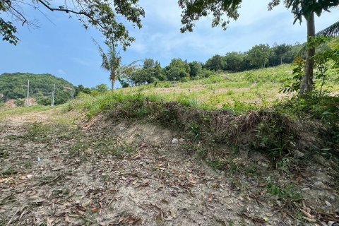 Земельный участок в Самуи, Таиланд 1600м2 № 140715 - фото 10