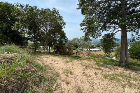 Земельный участок в Самуи, Таиланд 1600м2 № 140715 - фото 6