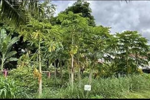 Земельный участок в Кханнаяу, Бангкок, Таиланд 1024м2  № 158196 - фото 4