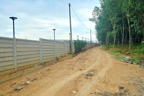 Земельный участок в Районге, Таиланд 97600м2  № 158198 - фото 5