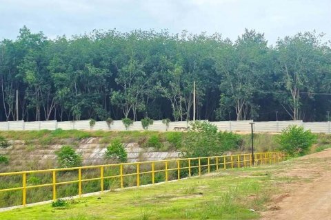 Земельный участок в Районге, Таиланд 97600м2  № 158198 - фото 4