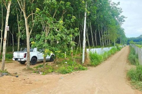 Земельный участок в Районге, Таиланд 97600м2  № 158198 - фото 6