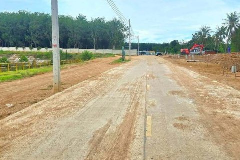 Земельный участок в Районге, Таиланд 97600м2  № 158198 - фото 3