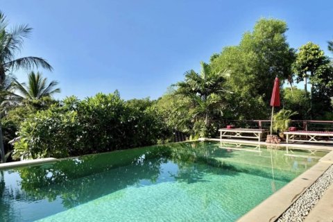 Hôtel à Surat Thani, Thaïlande № 172851 - photo 6