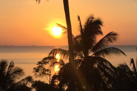 Hôtel à Surat Thani, Thaïlande № 172851 - photo 3