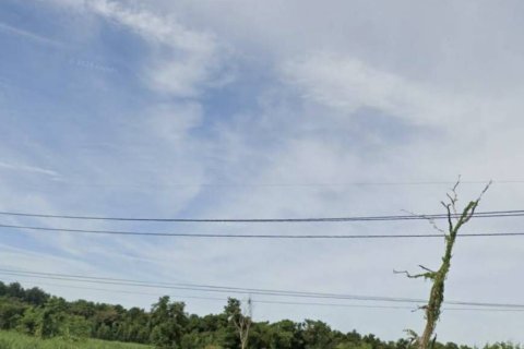 Land in Chok Chai, Thailand 70400 sq.m. № 154815 - photo 2