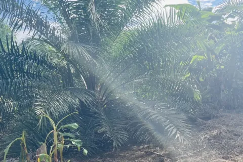 Terrain à Ao Luek, Thaïlande 24000 m2 № 154816 - photo 3