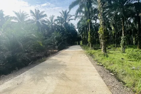 Terrain à Ao Luek, Thaïlande 24000 m2 № 154816 - photo 1