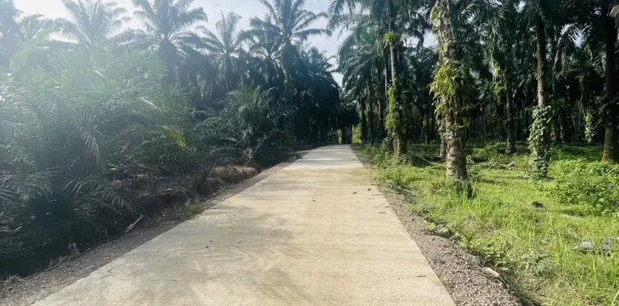 Terrain à Ao Luek, Thaïlande 24000 m2 № 154816