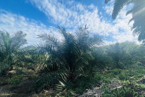 Terrain à Ao Luek, Thaïlande 24000 m2 № 154816 - photo 4