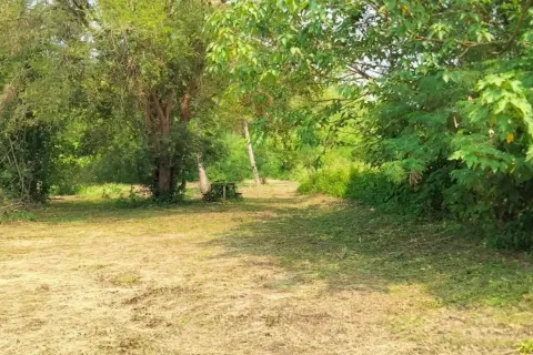 Land in Chiang Mai, Thailand № 162851