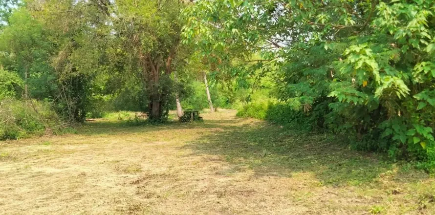 Land in Chiang Mai, Thailand № 162851