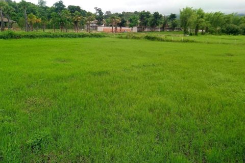 Land in Chiang Mai, Thailand № 162847 - photo 8
