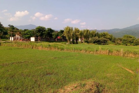 Land in Chiang Mai, Thailand № 162847 - photo 3