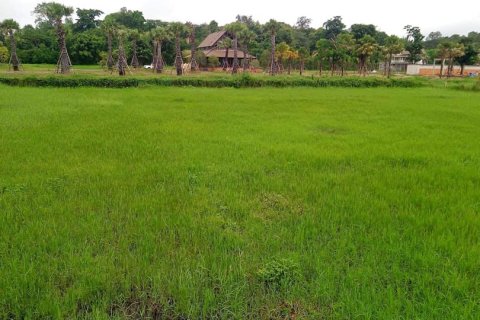 Land in Chiang Mai, Thailand № 162847 - photo 11