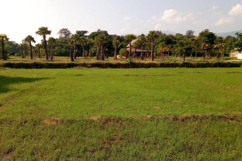 Land in Chiang Mai, Thailand № 162847 - photo 7
