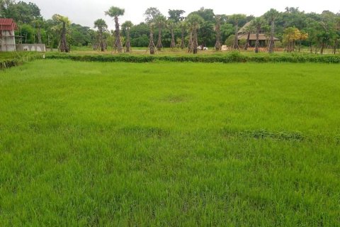 Land in Chiang Mai, Thailand № 162847 - photo 9