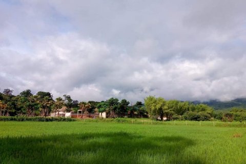 Land in Chiang Mai, Thailand № 162847 - photo 10