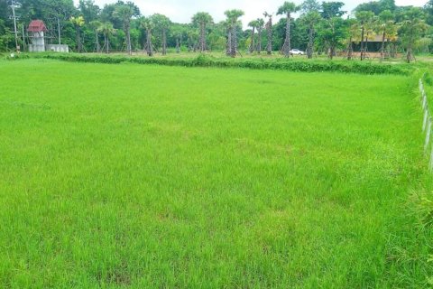 Land in Chiang Mai, Thailand № 162847