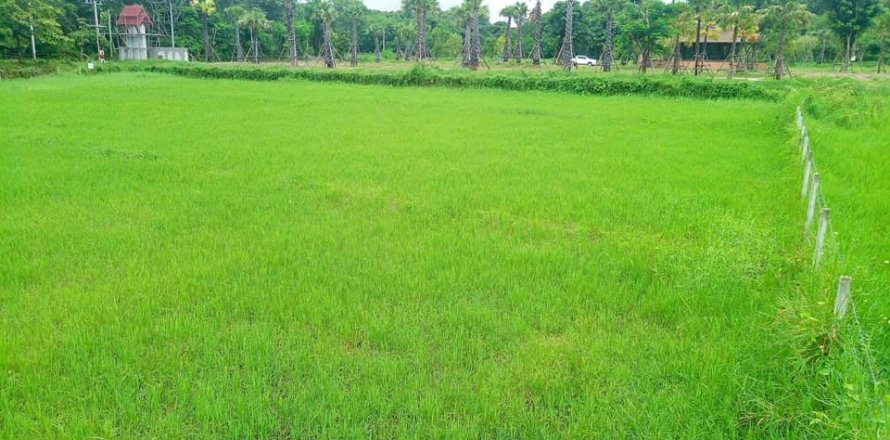 Land in Chiang Mai, Thailand № 162847