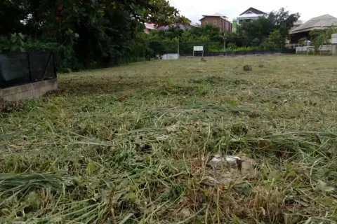 Terrain à Chiang Mai, Thaïlande № 162850 - photo 3