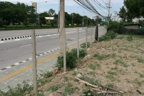 Terrain à Chiang Mai, Thaïlande № 162850 - photo 5