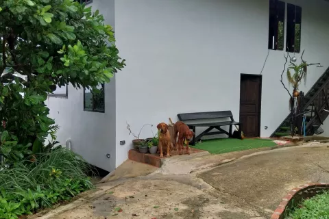 Villa à Ranong, Thaïlande 7 chambres № 140884 - photo 15