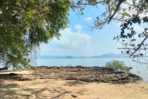 Земельный участок в Кантанге, Таиланд 18692.8м2  № 170617 - фото 8