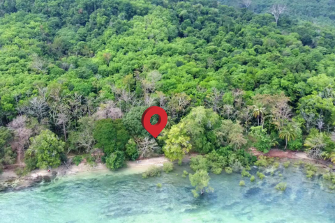 Земельный участок в Кантанге, Таиланд 18692.8м2  № 170617 - фото 6