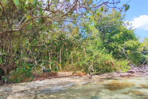 Земельный участок в Кантанге, Таиланд 18692.8м2  № 170617 - фото 3