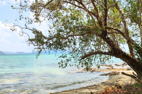 Земельный участок в Кантанге, Таиланд 18692.8м2  № 170617 - фото 2