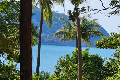 Земельный участок в Сураттхани, Таиланд  № 134648 - фото 1