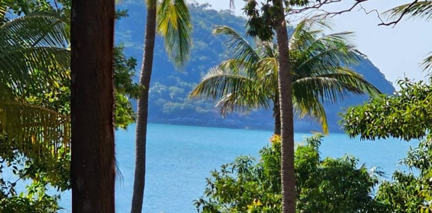 Земельный участок в Сураттхани, Таиланд  № 134648